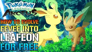 Pokemon Legends Arceus How To Evolve EEVEE Into LEAFEON Evolution Guide [upl. by Noiz]