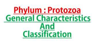 Phylum Protozoa General characters and Classification Part 1 [upl. by Trebbor559]