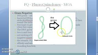 Pharmacology 707 b FluoroQuinolones Mechanism Of Action Quinolones DNA Gyrase inhibitor supercoil [upl. by Acinod]