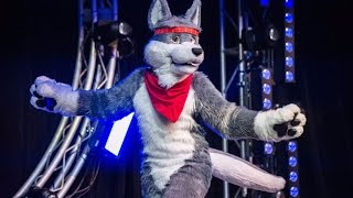 FurCon Dance Comp 2017  Wolf Pup TK [upl. by Mccourt71]