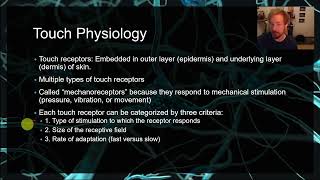 PSYC 359 Chapter 13 Touch mechanoreceptors pain phantom limb rubber hand illusion S1 [upl. by Travers]