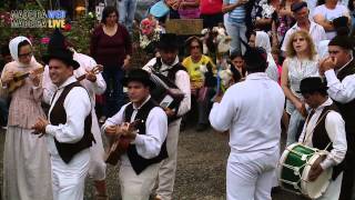 Madeira Traditional Folklore Groups  Folclore da Madeira Tradição Madeirense [upl. by Aerdnahs]