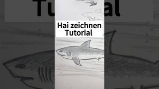 Hai Zeichnen Tutorial  Lass uns gemeinsam zeichnen zeichnen zeichenidee zeichnenlernen [upl. by Berners123]