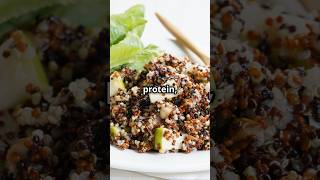 The Best PlantBased Proteins Top 5 Ranked [upl. by Lrem]