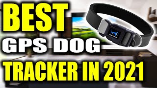 TOP 5 Best GPS Dog Tracker in 2022 [upl. by Greenleaf]