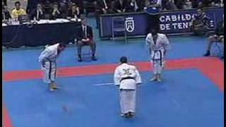 Shotokan Gankaku Bunkai Equipo de Italia [upl. by Oona]