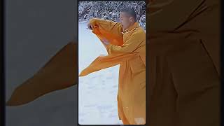 How the Shaolin Master is calm and joyful through all seasons of life  Shaolin Temple Yunnan [upl. by Britney]