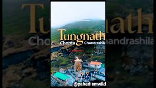 तुंगनाथ महादेव tungnath chandrashila travel shorts trending live new uk pahadismwild [upl. by Yekcor]