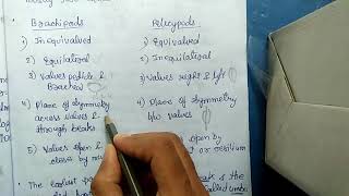 BRACHIOPODS VS PELCYPODS  DIFFERERNCES HINDI [upl. by Nerej]