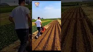 Tiller weeder machine for tunnel tiller farming tunnelfarming weeder viralvideo video2024 [upl. by Treat]