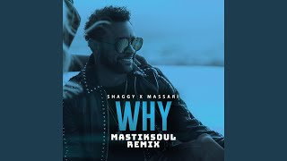 Why Mastiksoul Remix [upl. by Orazal261]