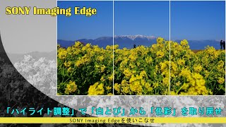 【RAW現像】SONY Imaging Edgeを使いこなせ！ハイライトの調整で白とびした色彩を取り戻せ！ [upl. by Nnylhtak]