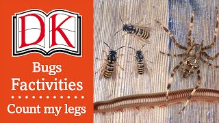 Quiz Bugs—Count My Legs [upl. by Quincey]