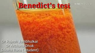 Benedicts test for reducing sugars [upl. by Acinorahs5]