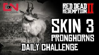 RDR2 Online  Skin 3 Pronghorns  Daily Challenge  Pronghorn Location [upl. by Cthrine]