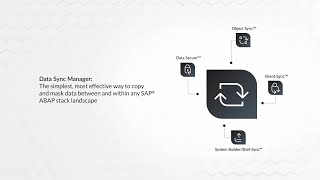 How Data Sync Manager DSM works [upl. by Carmencita60]