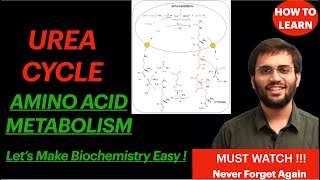 Urea Cycle Amino Acid Metabolism Biochemistry Video Mnemonic and Concepts  Revise Biochemistry [upl. by Sivart]