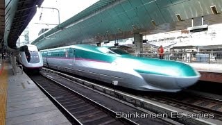 JR East Shinkansen  Tokyo [upl. by Nanyt]