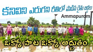 వరి నాట్లు వేసే దగ్గర పల్లె పాటలు  Vari Naatlu Farmers Songs  Village Songs [upl. by Jamin807]