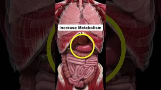 6 Ways to Increase your Metabolism  Health Tips shorts [upl. by Nylrahs]