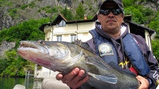 Rapture Lures  Pesca con la gomma  Soft Lures x Zander [upl. by Yennek]