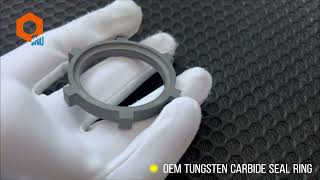 OEM Tungsten Carbide Seal Ring [upl. by Schaffel]