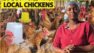 How she started with 10 chickens To Owning A thriving Local poultry farm At a Young age in Uganda [upl. by Boyse]