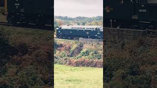 Class 40 diesel  Severn Valley Railway [upl. by Montfort]