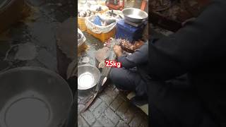 25 Kg Goonch Catfish Cutting Skills In Fish Market fishcutting fishing food freshwaterfish [upl. by Diann]