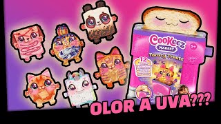 Gato Cookeez Makery Toasty Treatz con olor a UVA 🍇 [upl. by Amihsat]