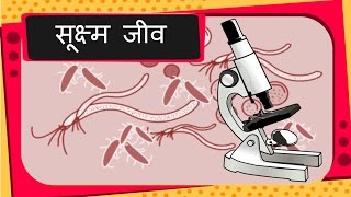 Science  Good and Bad Microbes Diseases  Hindi [upl. by Shriner]