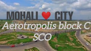 Available SCO LOI Aerotropolis Black C Mohali home mohaliproperty luxuryhome luxuryvilla ￼ [upl. by Yltnerb945]