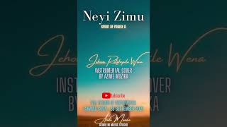 Jehova Retshepile Wena Instrumental Cover shorts [upl. by Neladgam533]