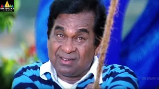 VV Vinayak Movie Comedy Scenes Back to Back  Vol 1  Telugu Movie Comedy  Sri Balaji Video [upl. by Ettenim]