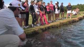 Shark feeding at Carbrook Golf Club  2012 Australian Girls Amateur [upl. by Gilletta]