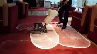 Red Carpet Shampooing cleaning  tips [upl. by Naitsihc657]