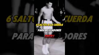 ✅6 SALTOS A LA CUERDA PARA BOXEADORES 🥊 NIVEL PRINCIPIANTE boxeo boxing jumprope [upl. by Enihpled]