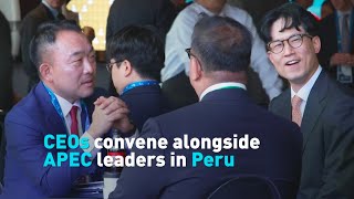 CEOs convene alongside APEC leaders in Peru [upl. by Sibeal]