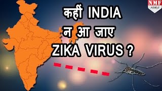 Watch Zika Virus का आतंक कहीं India न आ जाए ये mosquito [upl. by Scornik]