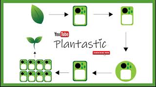 Plant Tissue Culture  Protoplast Culture [upl. by Larrad]