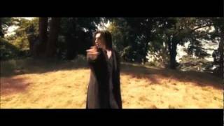 Snape Fanvid  Guys Like Potter [upl. by Aremat]