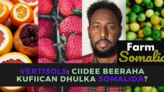 Vertisols Ciidee Beeraha Ku Fiican Dhulka Somalida [upl. by O'Callaghan]