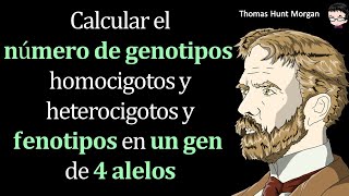 Calcular el 𝐧ú𝐦𝐞𝐫𝐨 𝐝𝐞 𝐠𝐞𝐧𝐨𝐭𝐢𝐩𝐨𝐬 homocigotos y heterocigotos y 𝐟𝐞𝐧𝐨𝐭𝐢𝐩𝐨𝐬 en 𝐮𝐧 𝐠𝐞𝐧 de 4 𝐚𝐥𝐞𝐥𝐨𝐬 [upl. by Hartwell]