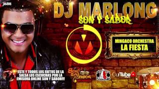 La Fiesta  Mingaco Orchestra  Dj Marlong Son y Sabor 2017 [upl. by Ainoek43]