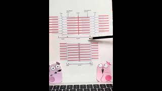 Structure of a Sarcomere Sister Amoebas [upl. by Sissel]