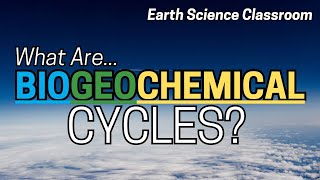 What Are The Different Types Of Biogeochemical Cycles [upl. by Theobald]