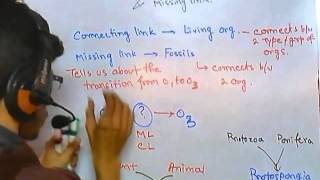 Connecting link and missing link CSIR NET life sciences [upl. by Plerre]