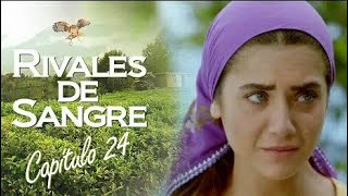 RIVALES DE SANGRE CAPITULO 24 COMPLETO [upl. by Sej]