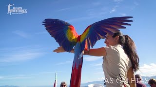 Las Caletas Beach Hideaway  Vallarta Adventures® [upl. by Euhsoj]