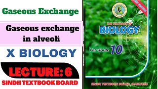 Gaseous exchange in alveoli class 10  Lec 6  Gaseous exchange  Sindh board [upl. by Marlane]